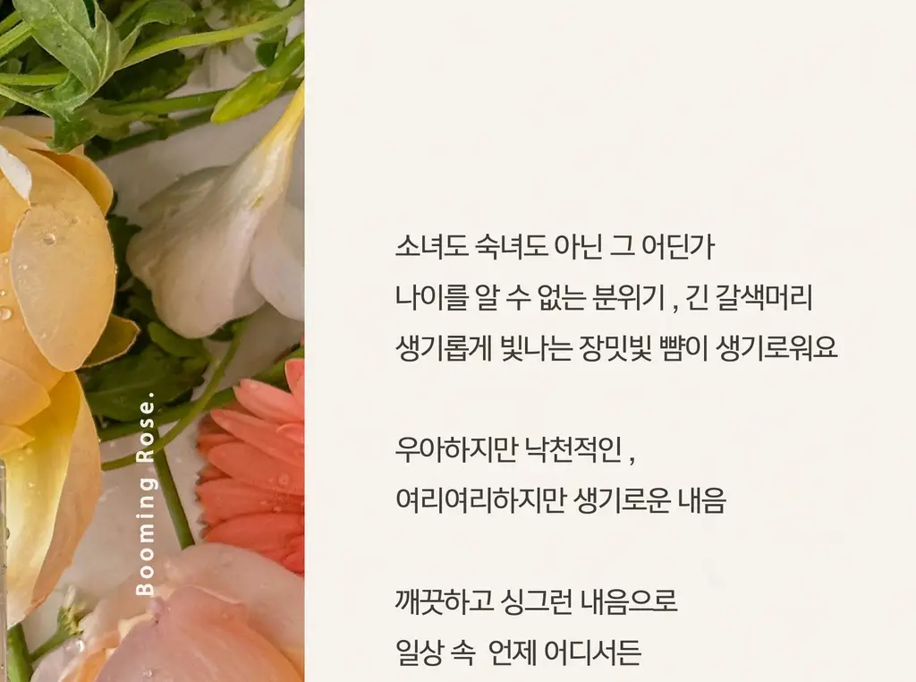 [리얼여름장미향]든향 퍼퓸 디퓨저 생장미 120ml 상세페이지 6